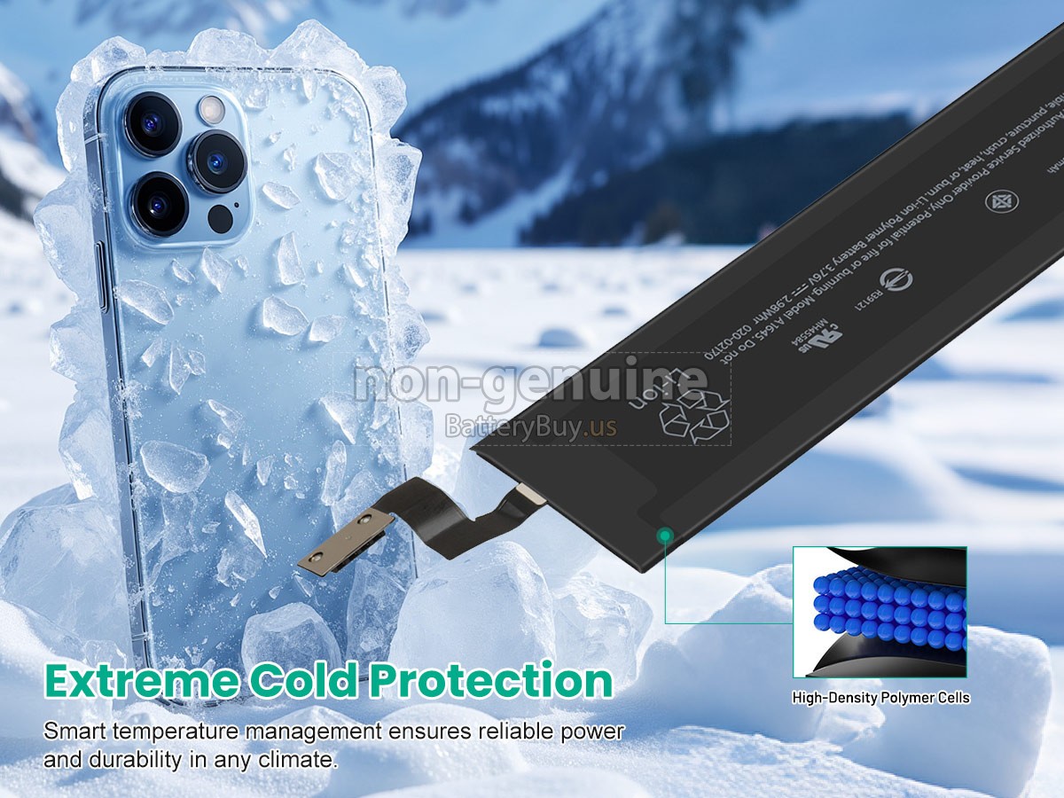 battery for Apple A1843