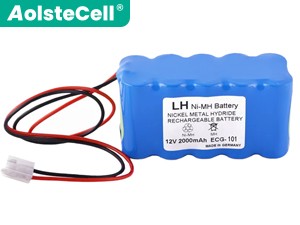 Biocare ECG-300 battery