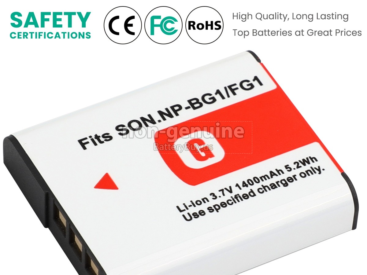 battery for Sony NP-FG1